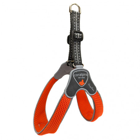 PETT.CINQUETORRI ARANCIO TG2