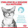 ROYAL CANIN SENSORY FEEL BOC.IN SALSA 85 GR.