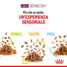 ROYAL CANIN SENSORY FEEL BOC.IN SALSA 85 GR.