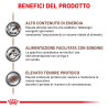 ROYAL CANIN DOG RECOVERY 195GR.