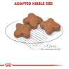 ROYAL CANIN MINI ADULT DOG 8+ 2KG.